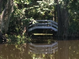 Bridge Over Pond